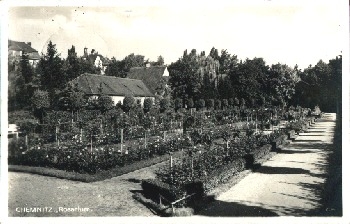 Chemnitz Rosarium o June 10, 1927