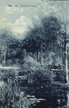 Chemnitz Kuechwald o 25.2.1914