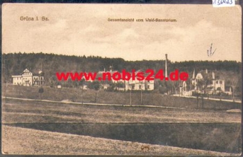 09224 Gruena Chemnitz vom Wald-Sanatorium *ca. 1920