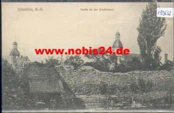 04626 Schmoelln Partie an der Stadtmauer *ca. 1910
