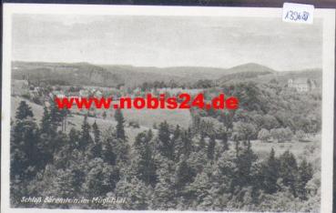 01768 Mueglitztal Schloss Baerenstein *ca. 1960