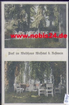 04741 Rosswein, Park im Waldhaus Wolfsthal *ca. 1930