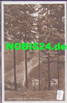 01776 Wald-Baerenburg Der Heuweg *ca. 1930