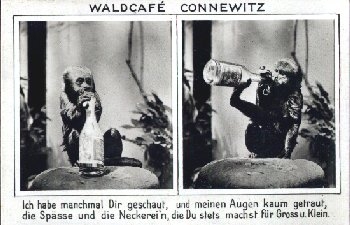Connewitz Leipzig Forest Cafe Monkey *approx. 1930