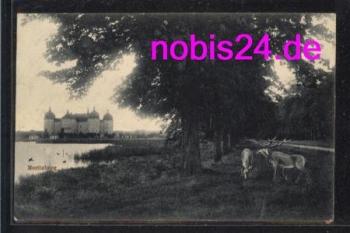 01468 Moritzburg Castle and deer o April 11, 1915
