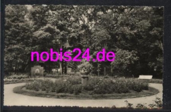 04651 Bad Lausick Rosengarten  *ca.1966