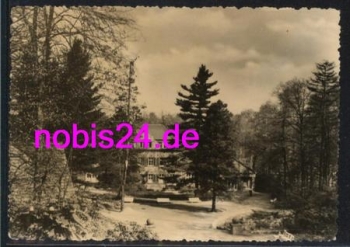 04651 Bad Lausick Kurpark o ca. 1958