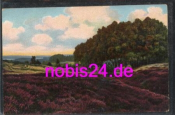 29614 Luneburg Heath Birkenwaldchen *ca.1930