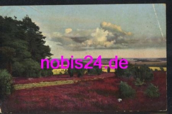 29614 Lueneburger Heide Wilseder Berg *ca.1930