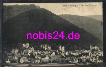 38667 Bad Harzburg Villen am Burgberg *ca.1920