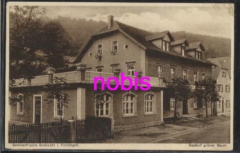 95460 Goldmuhl Gasthof gruner Baum *ca.1920