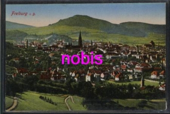Freiburg Breisgau Kirche *ca. 1910