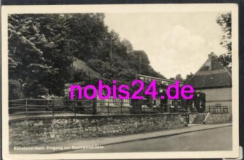 38889 Rübeland Harz  Baumannshöhle *ca.1950
