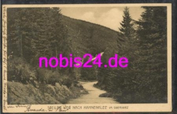 38644 Hahnenklee Oberharz Steiler Weg o 17.8.1929