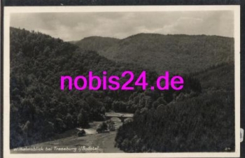 38889 Treseburg Wilhelmsblick Bodetal o 26.7.1934