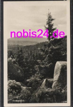 38871 Ilsenburg Brockenblick o 23.5.1956