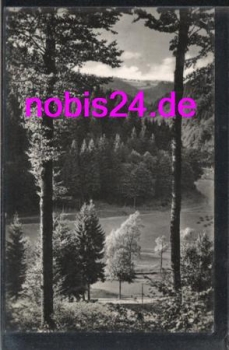 98711 Frauenwald vom Pfaffkopf o 19.6.1961