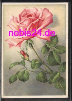 Rose bouquet artist card o 25.7.1942