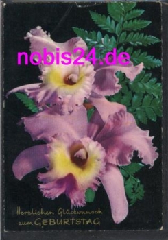 Orchideen Geburtstagskarte o ca.1971