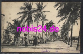 Saint Luis Strasse Cocoiere Senegal *ca.1915