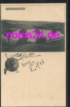 54655 Eifel Schalkenmehrner Maar *ca.1910