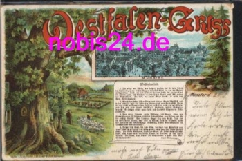 48143 Münster Westfalen Litho o 27.5.1903