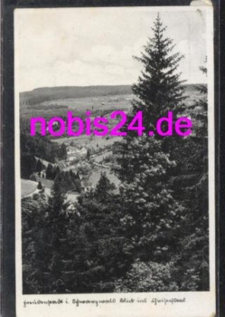 Freudenstadt Waldbergblick o 7.6.1936