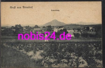 72351 Binsdorf Totale und Rosenberg *ca.1920