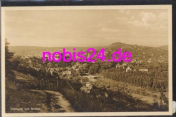 Tuebingen von Westen *ca.1930