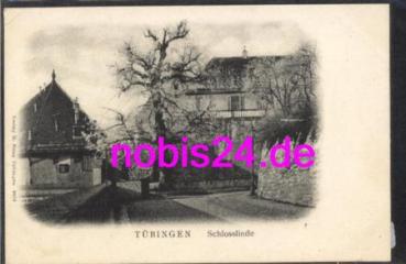 Tuebingen An der Schlosslinde o 29.4.1907