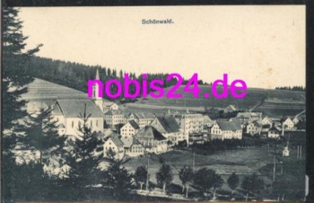 78141 Schoenwald *ca.1915