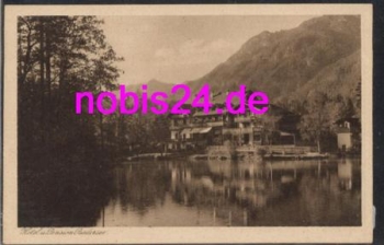 82491 Badersee Hotel Badersee *ca.1920