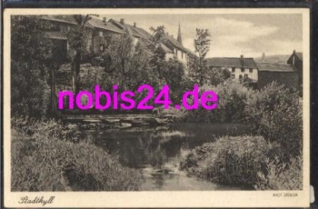 54589 Stadtkyll Eifel Teichumgebung *ca.1955