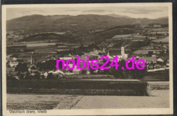 94234 Viechtach Bayerischer Wald *ca.1920