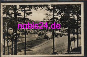 95460 Goldmuhl seen from the forest on September 7th, 1933