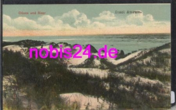 25946 Insel Amrum Dünenlandschaft * ca.1915