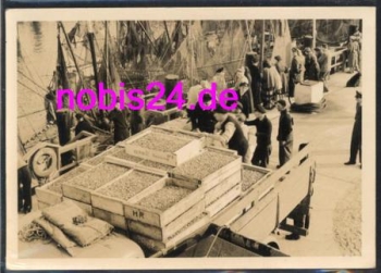 25980 Westerland Sylt Schiffsankunft Ware o 1957