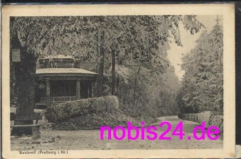 Freiburg Rauhreif im Park o 10.2.1926