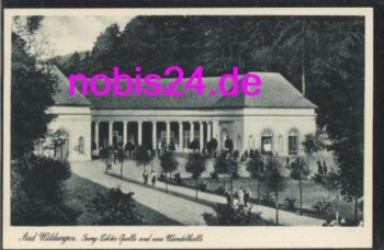 34537 Bad Wildungen Wandelhalle *ca.1930