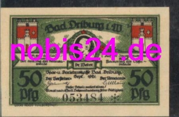 Bad Driburg Notgeld 50 Pfennige 1921