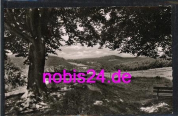 Blomberg Lippe Stadtwald o ca.1960