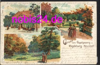 Magdeburg Neustadt Vogelgesang Litho o 23.11.1914