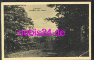 35619 Braunfels Schloss *ca.1930