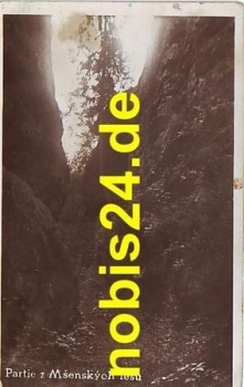 Tschechien - Partie z Msenskych lesu o ca.1930