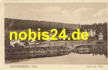38600 Hahnenklee Harz am Teich o 16.9.1924