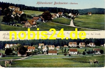 38640 Bockswiese Oberharz o 26.8.1918