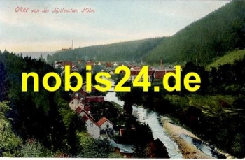 38640 Oker von der Halleschen Hohe *ca.1920
