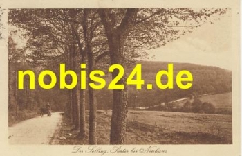 37603 Solling Partie bei Neuhaus o 10.8.1921