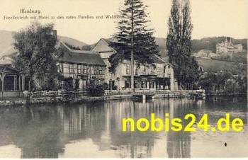 38871 Ilsenburg Hotel am Forellenteich *ca.1915