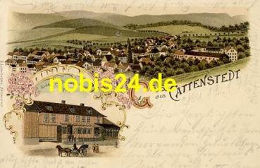 38889 Cattenstedt Gasthof Litho o 13.1.1898